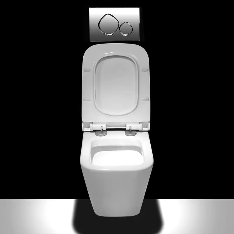 REMANENCE-ATLANTIS Ceramic Wall Mount/Wall Hung Western Toilet Commode for Bathrooms With Soft Close Seat Cover