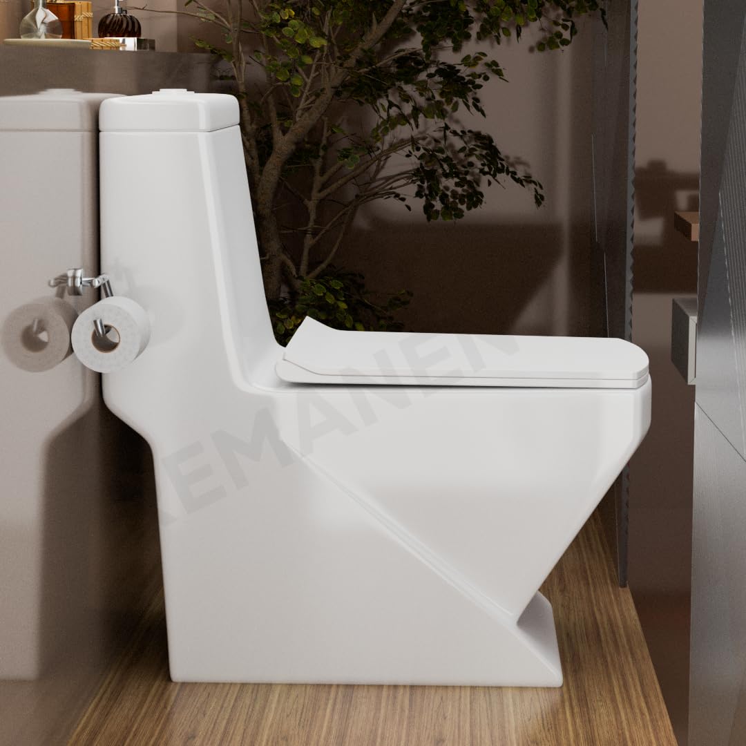 REMANENCE Floor Mounted One-Piece Western Toilet Commode with Soft Close Seat For Bathroom (68D x 37W x 71.5H Centimeters) (White)