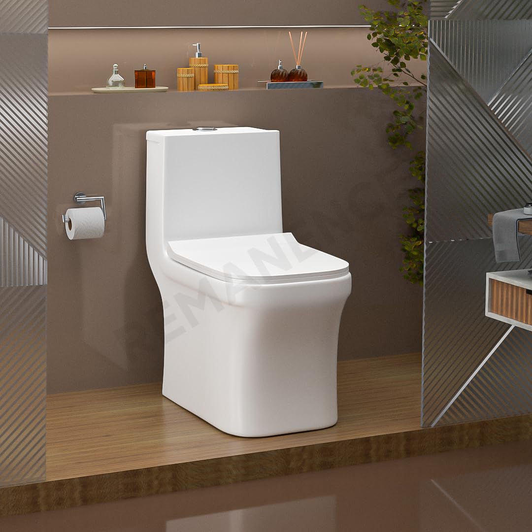 REMANENCE Floor Mounted One-Piece Western Toilet Commode with Soft Close Seat For Bathroom (67 x 34 x 73.5 Centimeters) (White)