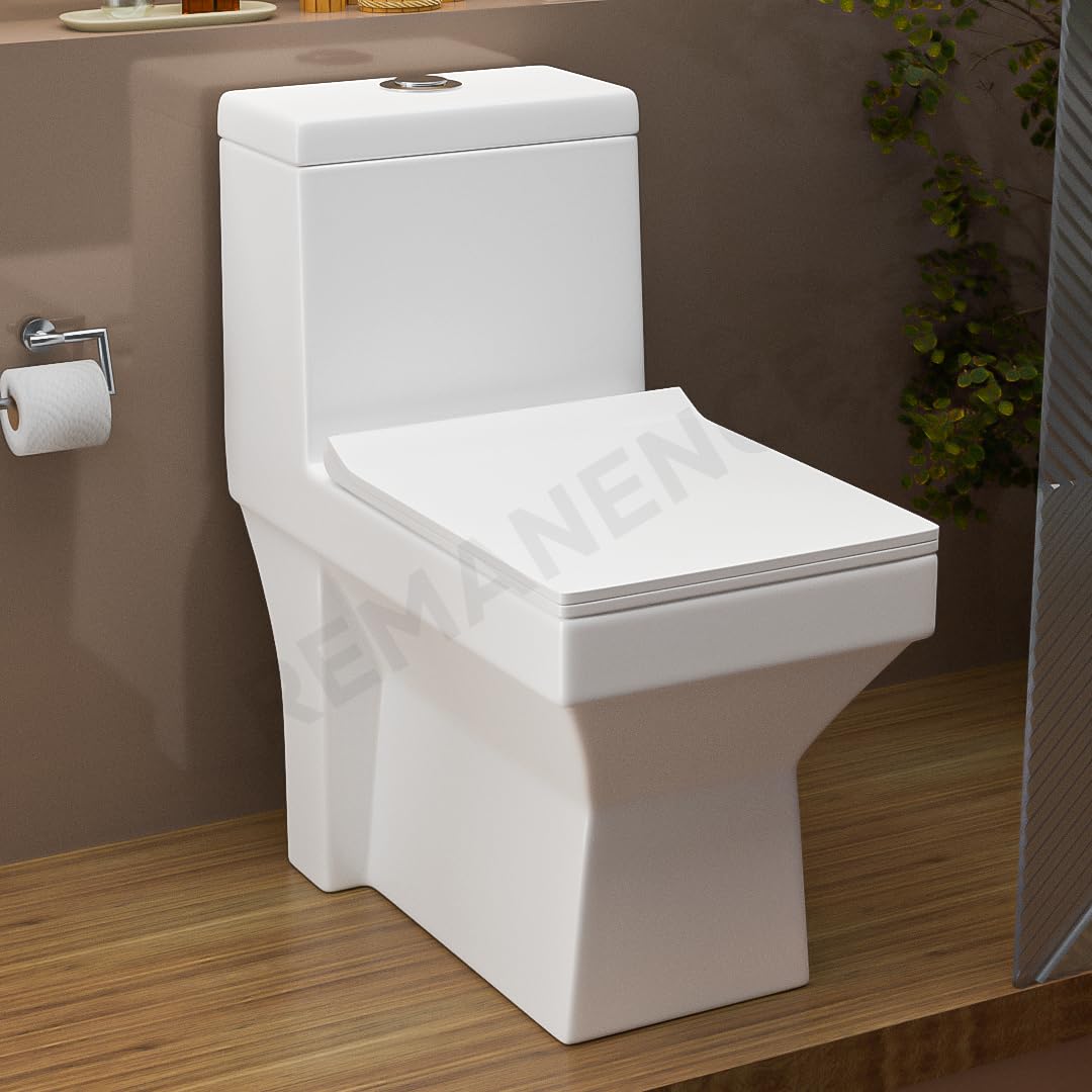 REMANENCE Floor Mounted One-Piece Western Toilet Commode with Soft Close Seat For Bathroom (65.5 x 35.5 x 73 Centimeters) (White)