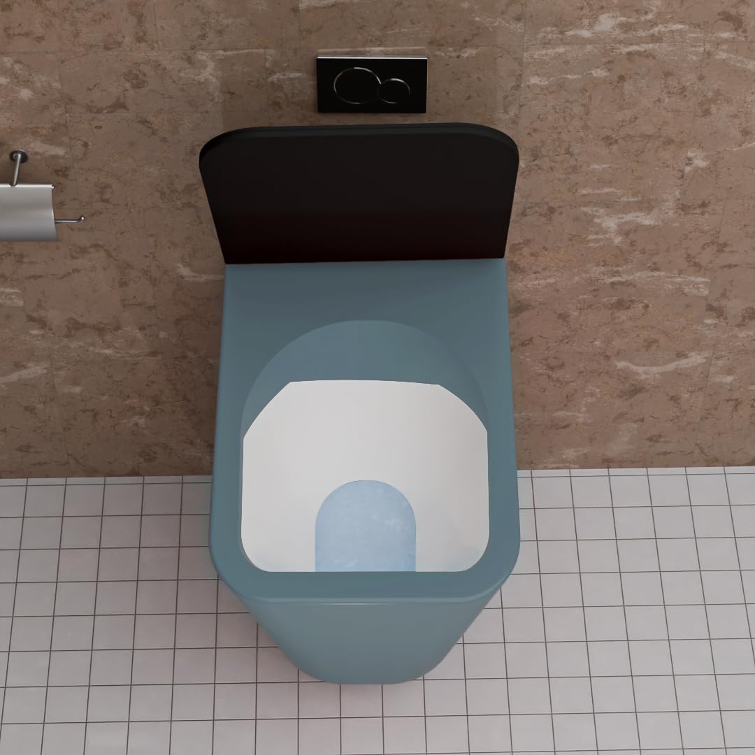 REMANENCE-EUROPEAN Style Ceramic Wall Mount Commode for Bathrooms with Soft Close Seat Cover (Light Blue)