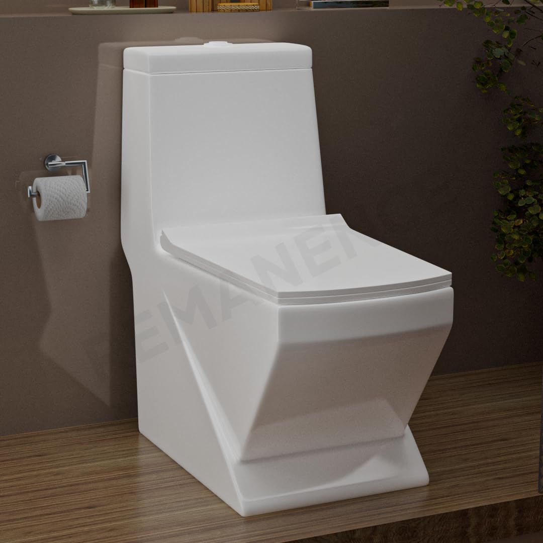 REMANENCE Floor Mounted One-Piece Western Toilet Commode with Soft Close Seat For Bathroom (68D x 37W x 71.5H Centimeters) (White)