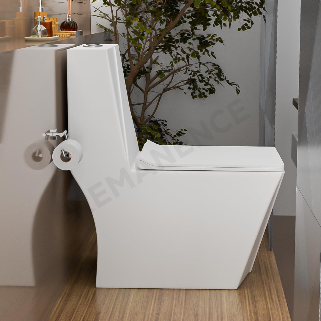 REMANENCE Floor Mounted One-Piece Western Toilet Commode with Soft Close Seat For Bathroom (67 x 37.5 x 76 Centimeters) (White)
