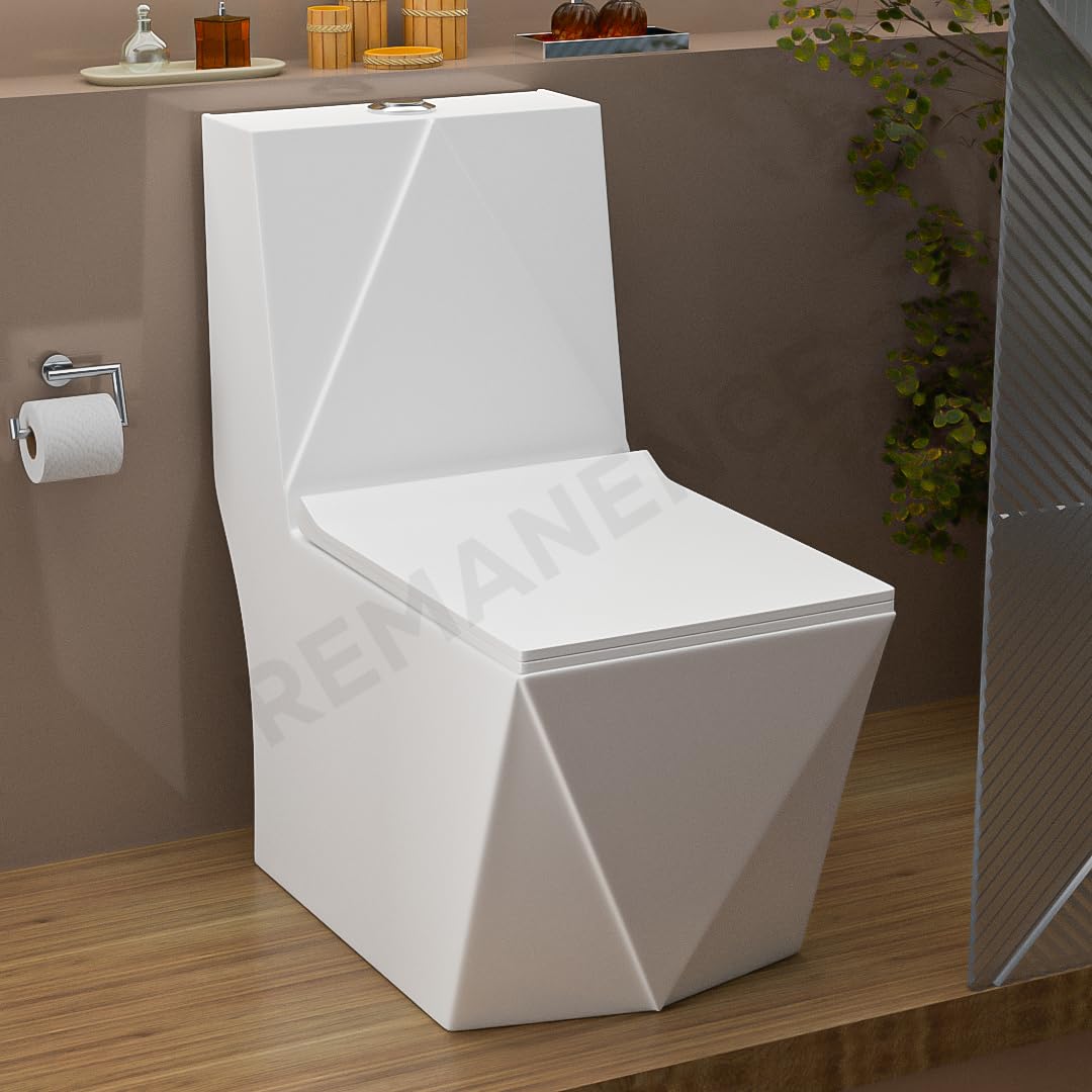 REMANENCE Floor Mounted One-Piece Western Toilet Commode with Soft Close Seat For Bathroom (67 x 37.5 x 76 Centimeters) (White)