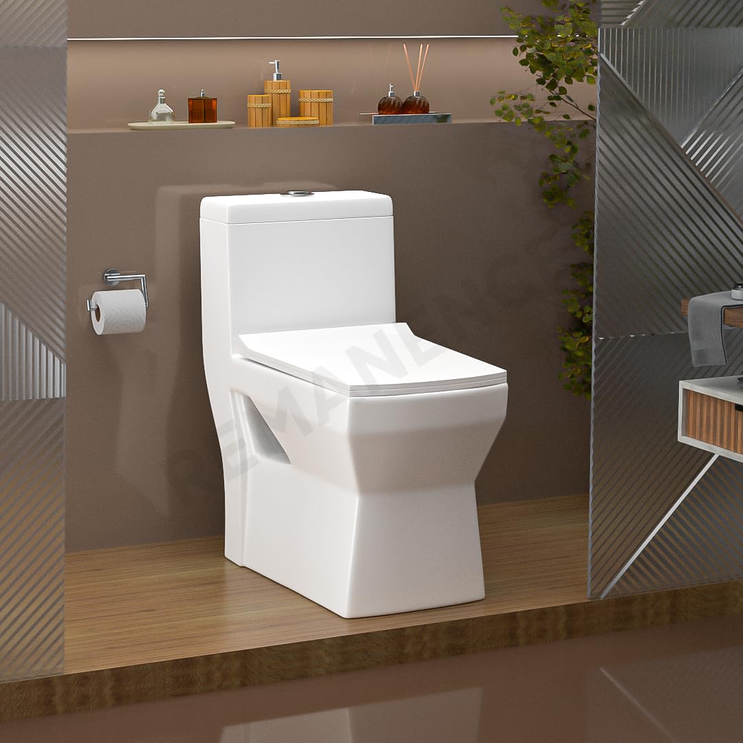 REMANENCE Floor Mounted One-Piece Western Toilet Commode with Soft Close Seat For Bathroom (66 x 35 x 71 Centimeters) (White)