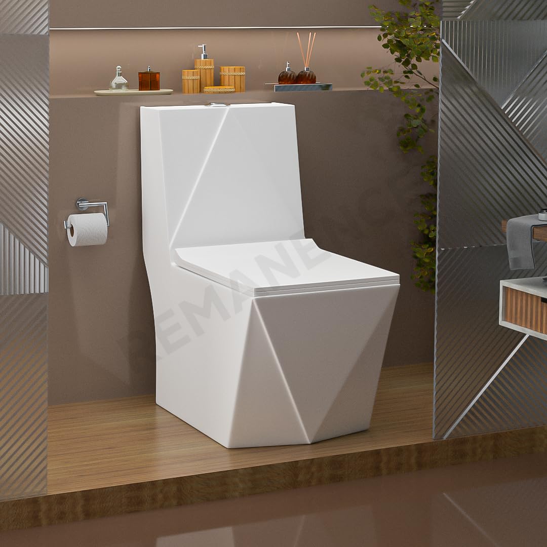 REMANENCE Floor Mounted One-Piece Western Toilet Commode with Soft Close Seat For Bathroom (67 x 37.5 x 76 Centimeters) (White)