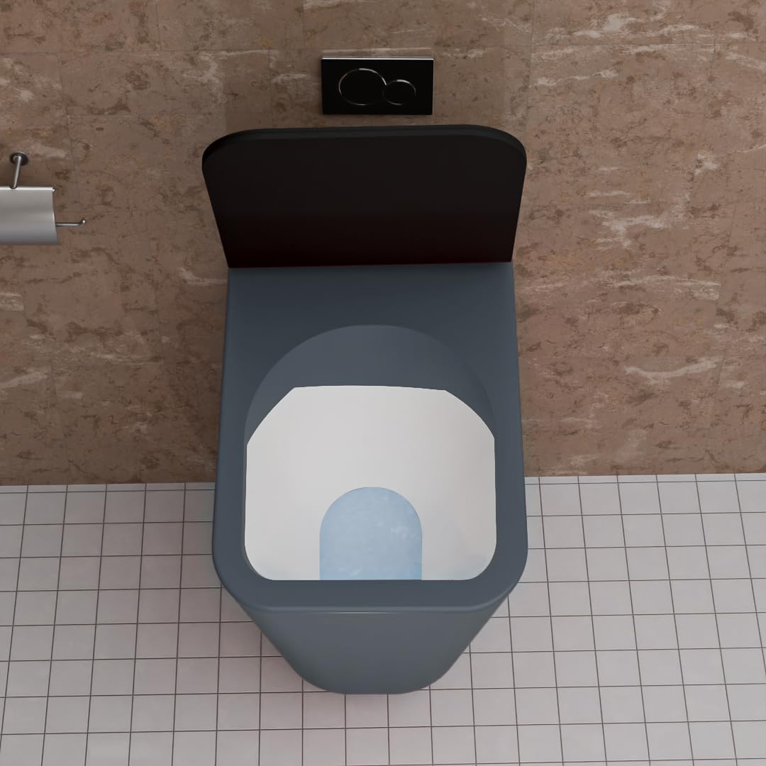 REMANENCE-EUROPEAN Style Ceramic Wall Mount Commode for Bathrooms with Soft Close Seat Cover (Blue)