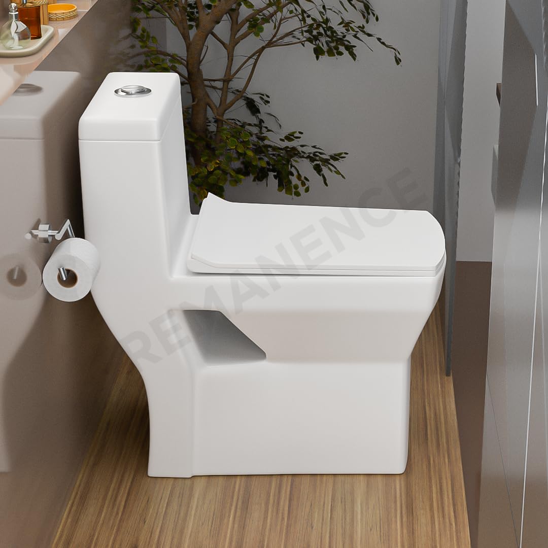 REMANENCE Floor Mounted One-Piece Western Toilet Commode with Soft Close Seat For Bathroom (66 x 35 x 71 Centimeters) (White)