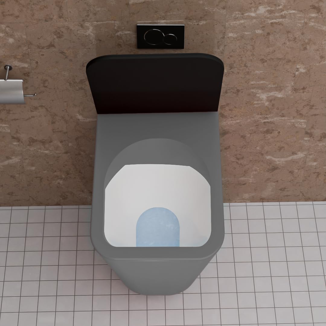 REMANENCE-EUROPEAN Style Ceramic Wall Mount Commode for Bathrooms with Soft Close Seat Cover (Grey)