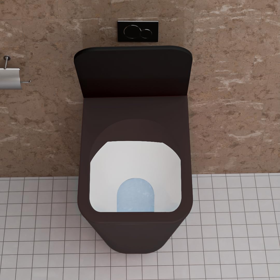 REMANENCE-EUROPEAN Style Ceramic Wall Mount Commode for Bathrooms with Soft Close Seat Cover (Black)