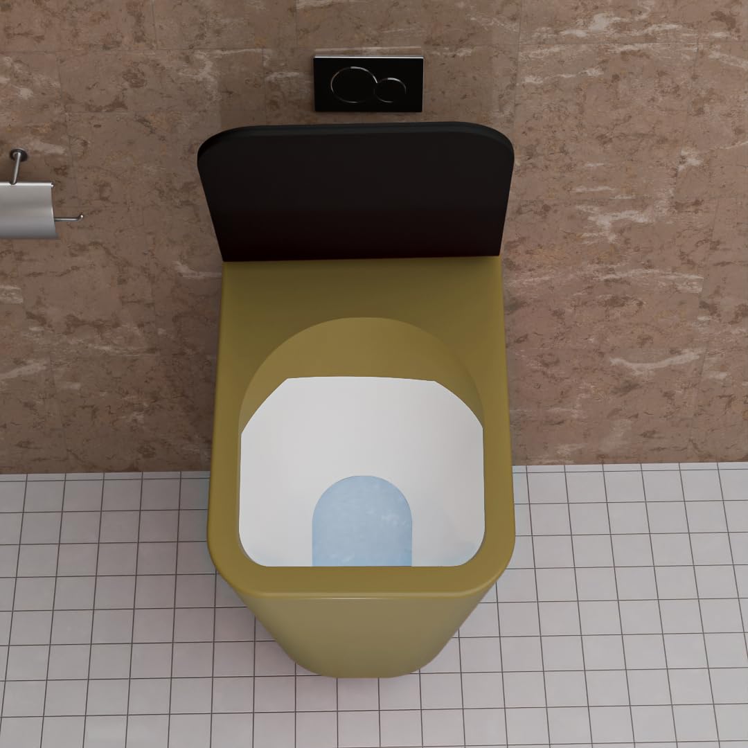 REMANENCE-EUROPEAN Style Ceramic Wall Mount Commode for Bathrooms with Soft Close Seat Cover (Gold)